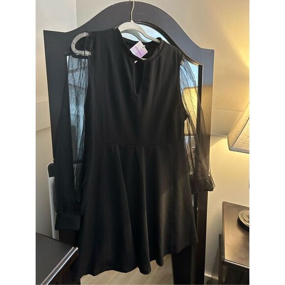 NEW Sheer Mesh Long Sleeve A Line Flared Elegant Mini Dress 3X - Picture 6 of 6